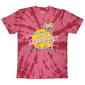 The Beach Boys Fun Dye Wash T Shirt product image 1