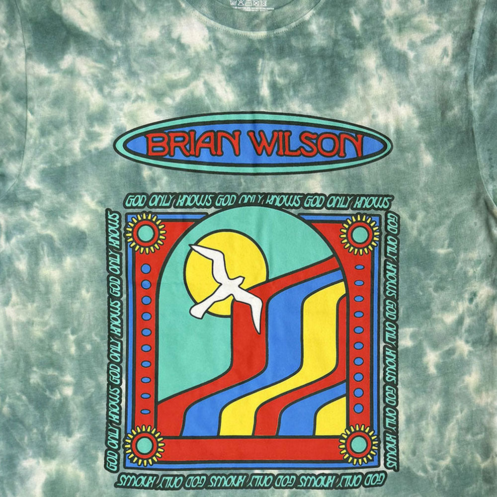 Brian Wilson God Only Knows Dye Wash T Shirt product image 2