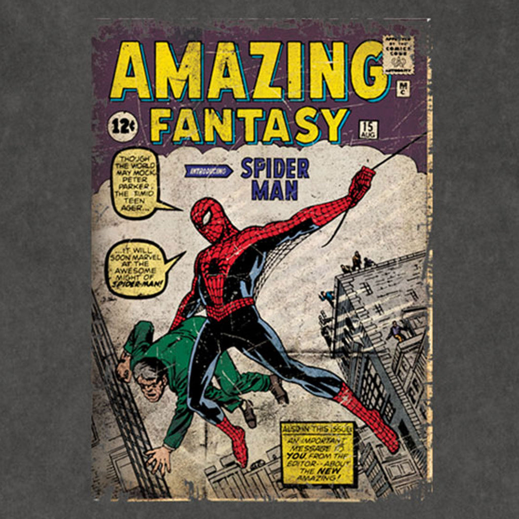 Spider-Man Amazing Fantasy Limited Premium Wash T Shirt product image 2