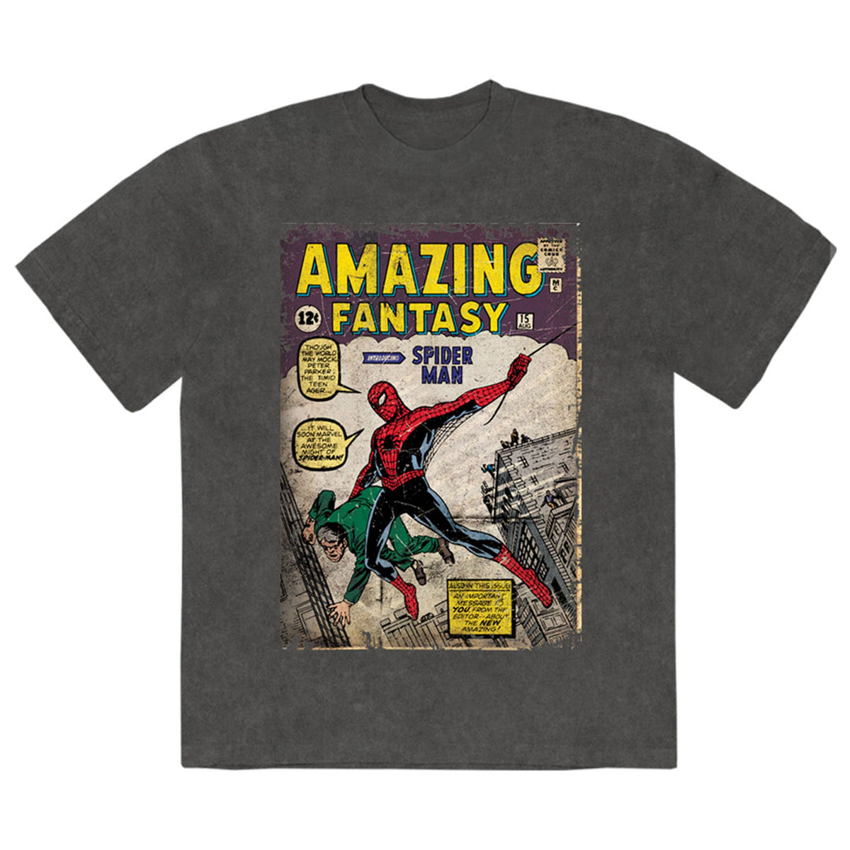 Spider-Man Amazing Fantasy Limited Premium Wash T Shirt product image 1