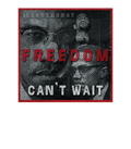 Air Jordan 3 “Fire Red” OG White T-Shirt (FREEDOM)