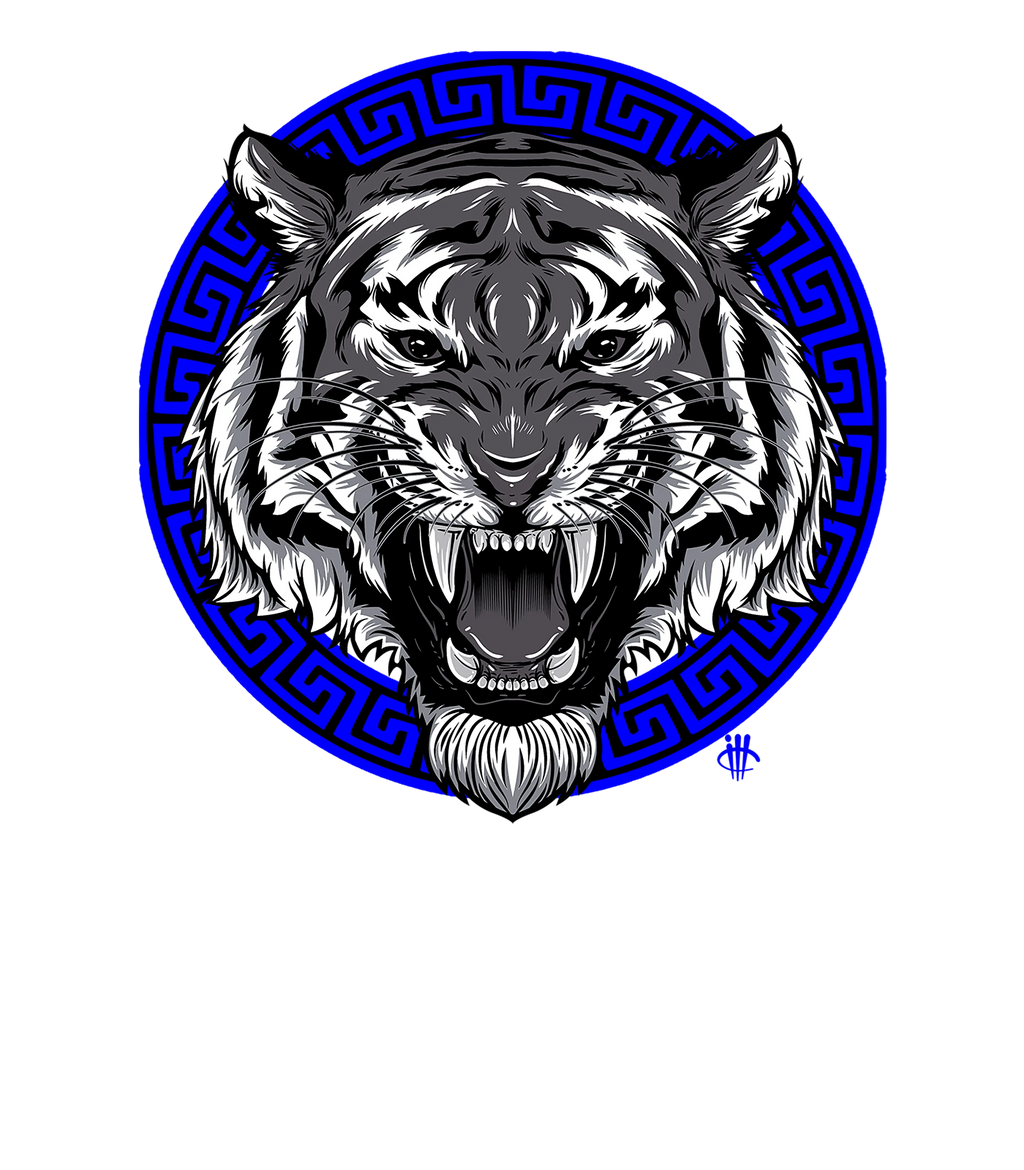 Air Jordan 12 WMNS “Hyper Royal” Black T-Shirt (ANGRY TIGER)