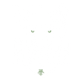 Air Jordan 4 Seafoam aka “Oil Green” - Black T-Shirt (Follow My Lead)