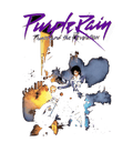 Nike Air Max CB 94 OG Pure Purple - Black T-Shirt (Purple Rain)