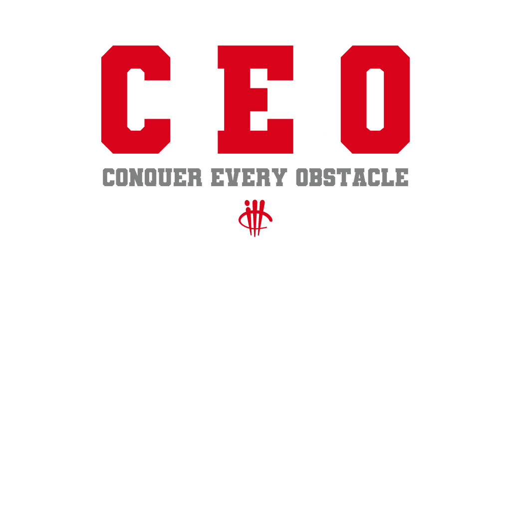 AIR JORDAN 4 “BRED REIMAGINED” 2024 | ILLCURRENCY Black product image 1